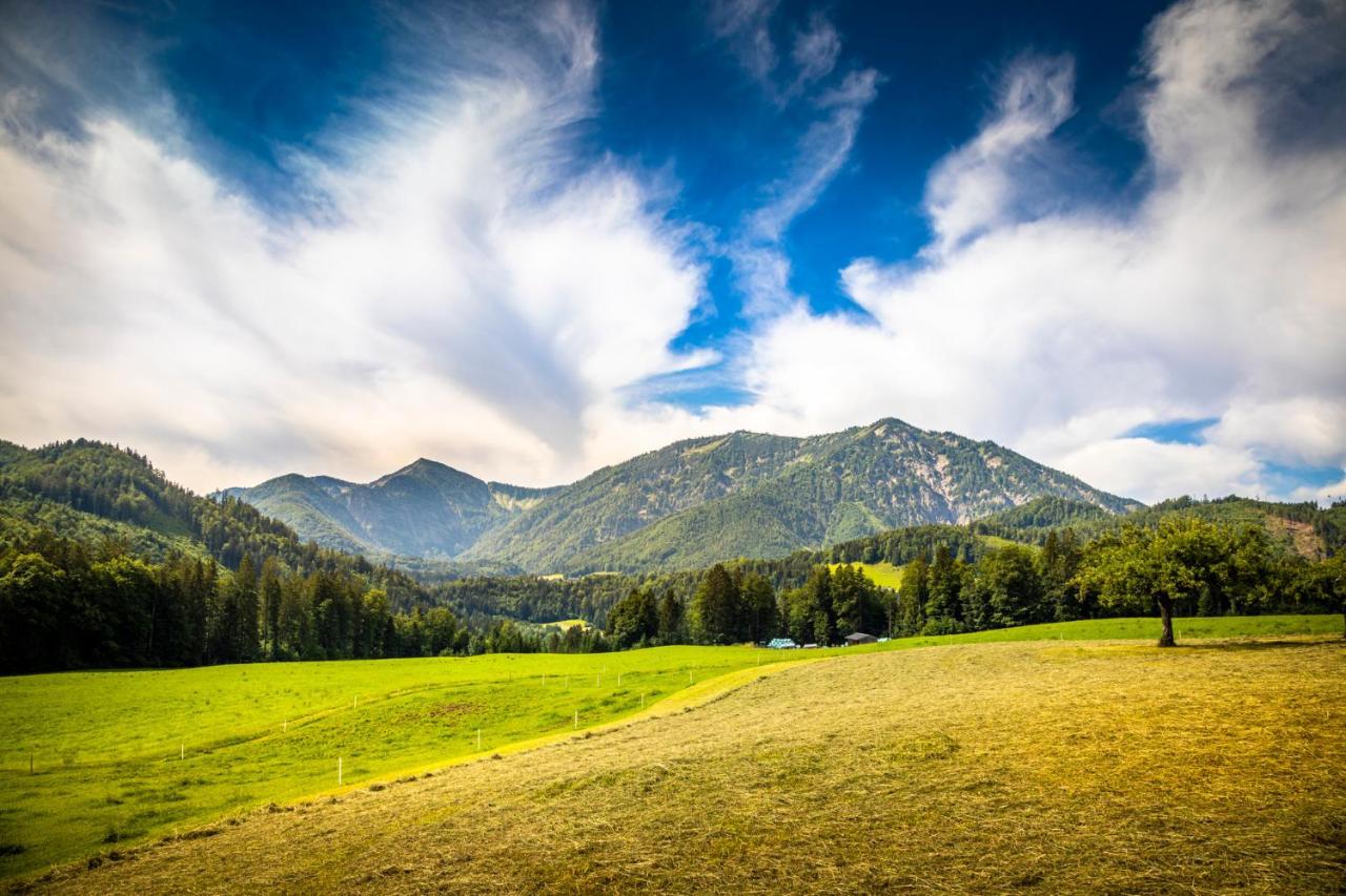 Apartmán Biohof Untergrabenbauer Lidaun Exteriér fotografie