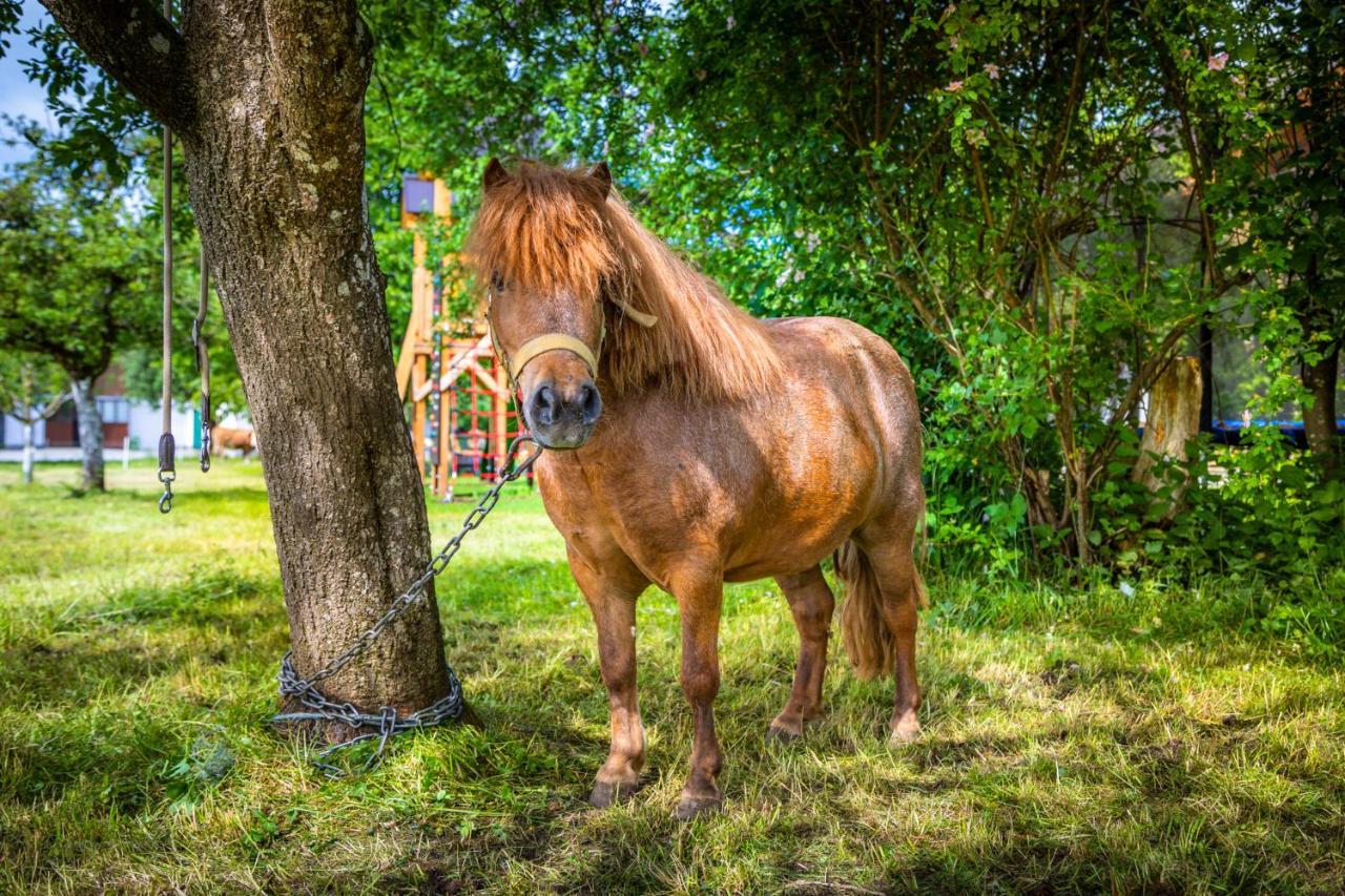 Apartmán Biohof Untergrabenbauer Lidaun Exteriér fotografie