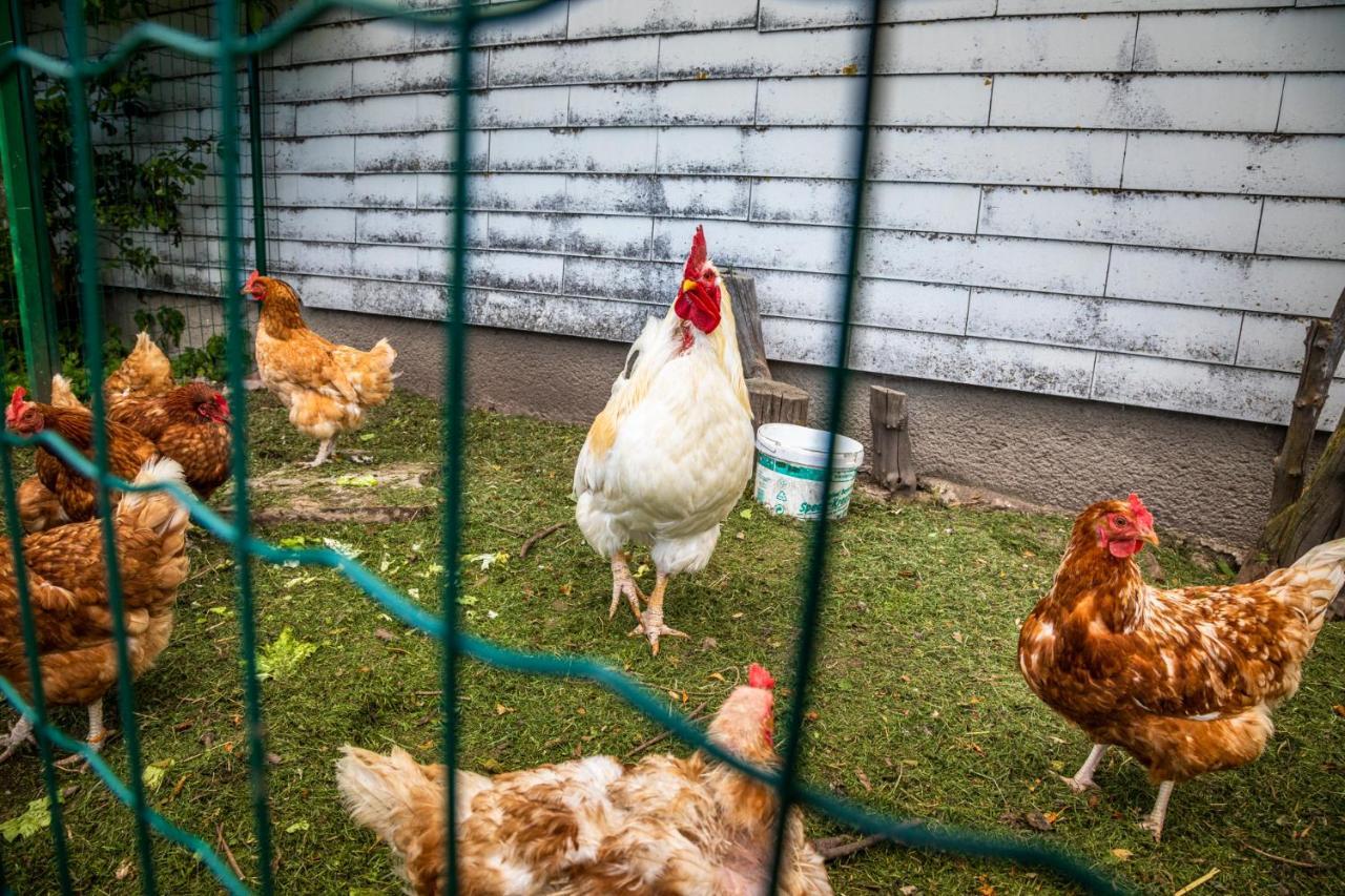 Apartmán Biohof Untergrabenbauer Lidaun Exteriér fotografie